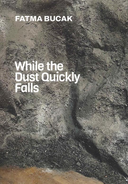While the Dust Quickly Falls - Book Launch